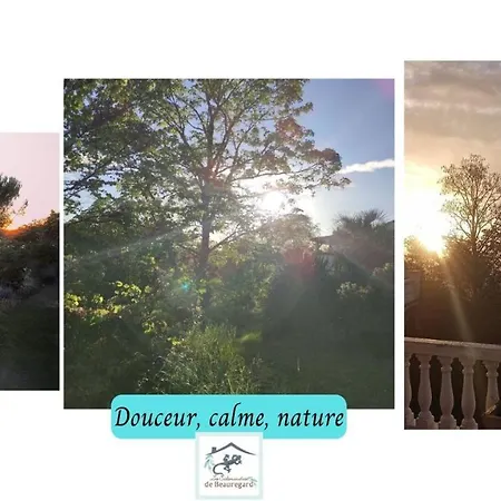 Les Salamandres De Beauregard * Algans