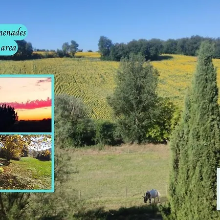 Lejlighed Les Salamandres De Beauregard Algans